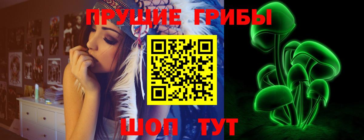 Псилоцибиновые грибы мицелий Топки